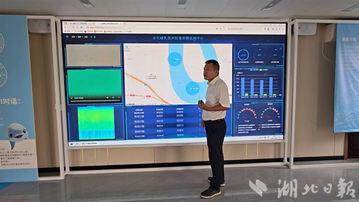 江豚 岳陽樓.jpg