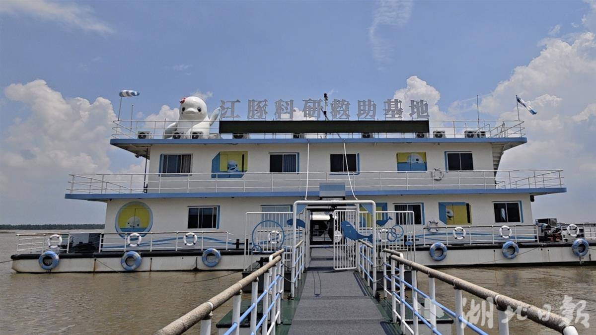 江豚 救助站3.jpg