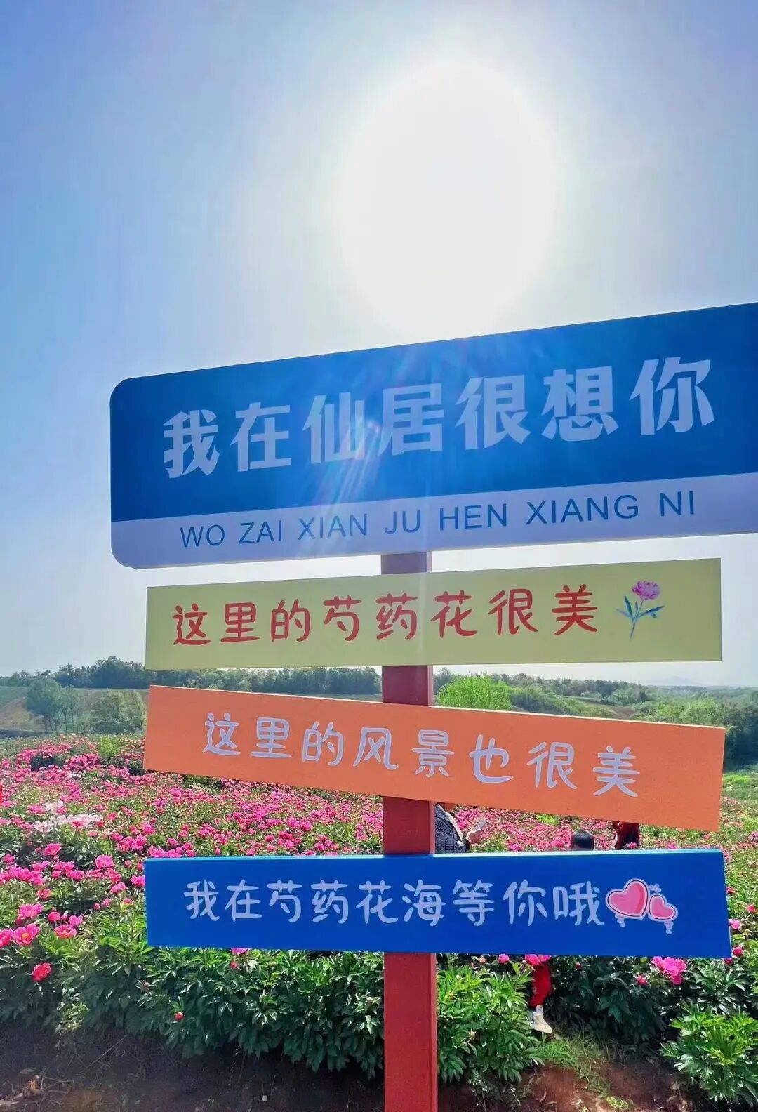 圖片