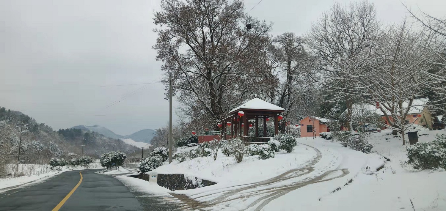 楊集鎮(zhèn)三口堰村對(duì)節(jié)王雪景，攝影：胡勇1