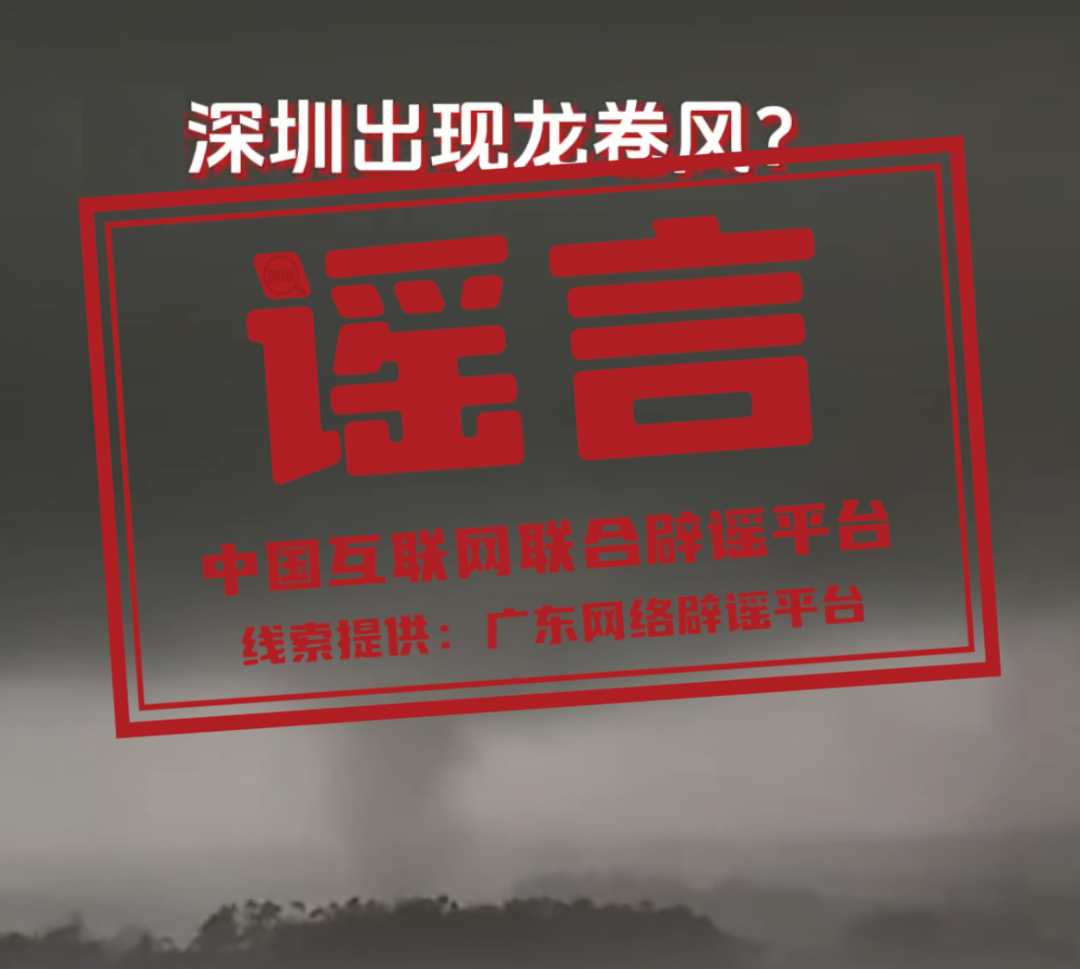 辟謠4